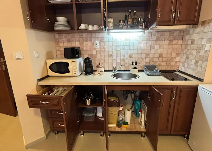 公寓 Cozy One Bedroom In Near Gondola With Wi Fi 班斯科