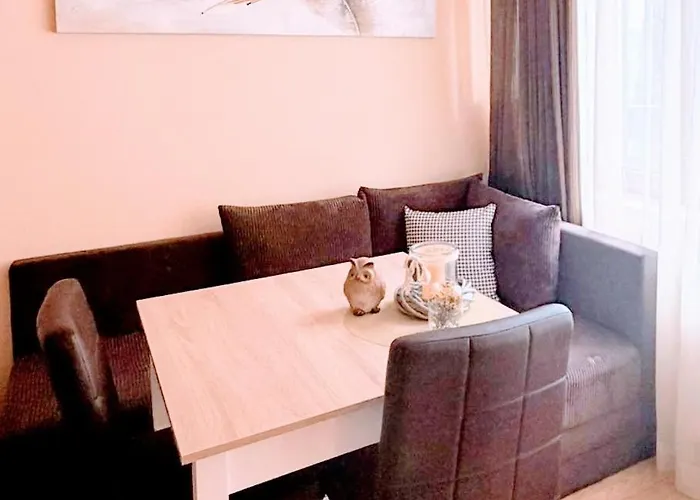 公寓 Cozy One Bedroom In Near Gondola With Wi Fi 班斯科